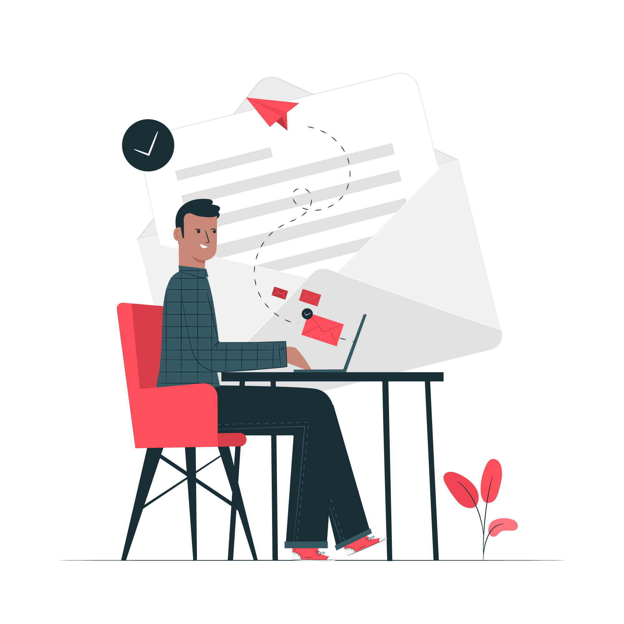 email marketing en wordpress